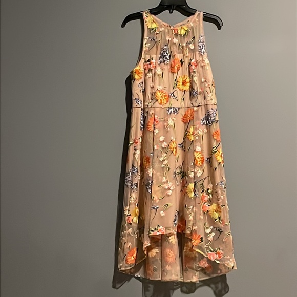 Adrianna Papell
Women's Floral-Embroidery Midi Dress - Picture 6 of 11